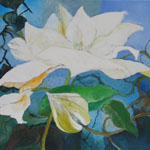Arctic Queen, 2010 klein