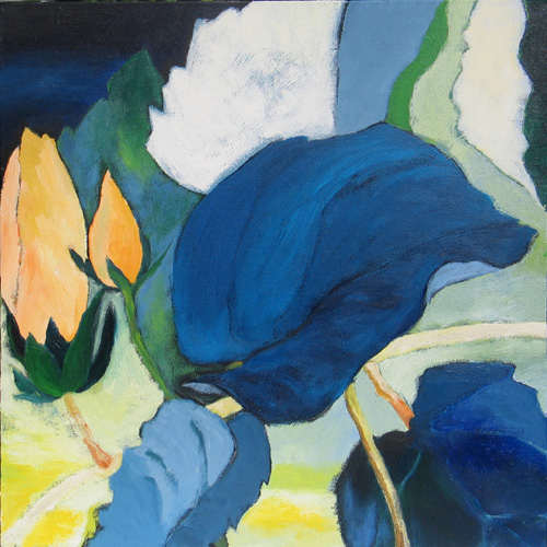 Hibiscus, 2009