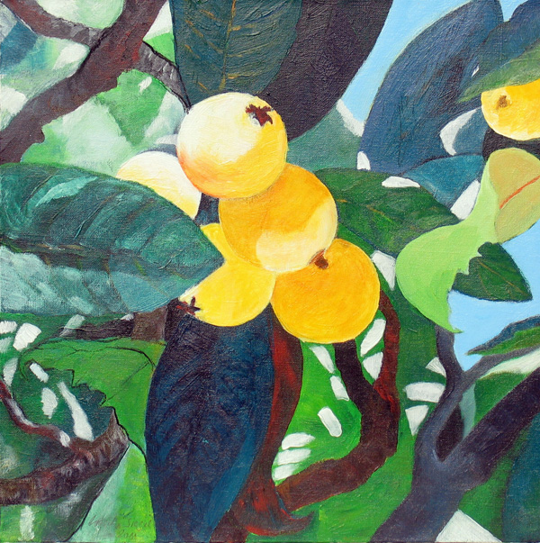 Reife Mispeln, 2011 -2-