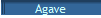 Agave