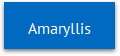 Amaryllis