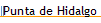 Punta de Hidalgo