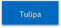 Tulipa