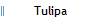 Tulipa