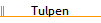 Tulpen