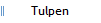 Tulpen