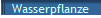 Wasserpflanze